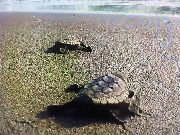 $1,695,000 | 19670 South Beach Road, Unit B323, Tequesta, FL 33469