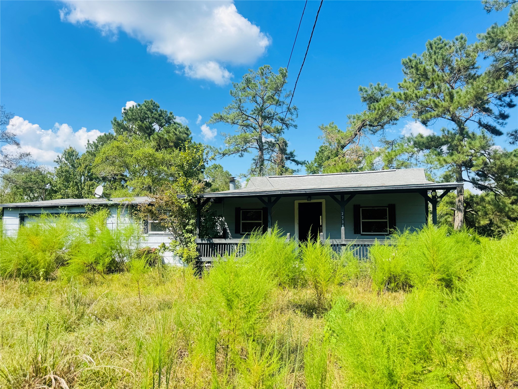 2736 Whitetail Forest Road Kountze, TX 77625 - Photo 15 of 17 Gallery Image 15