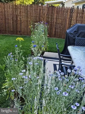 a view of a garden with plants