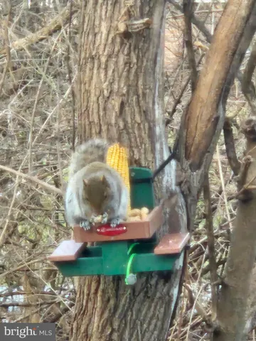 $349,900 | 18757 Mesa Terrace, Hagerstown, MD 21742