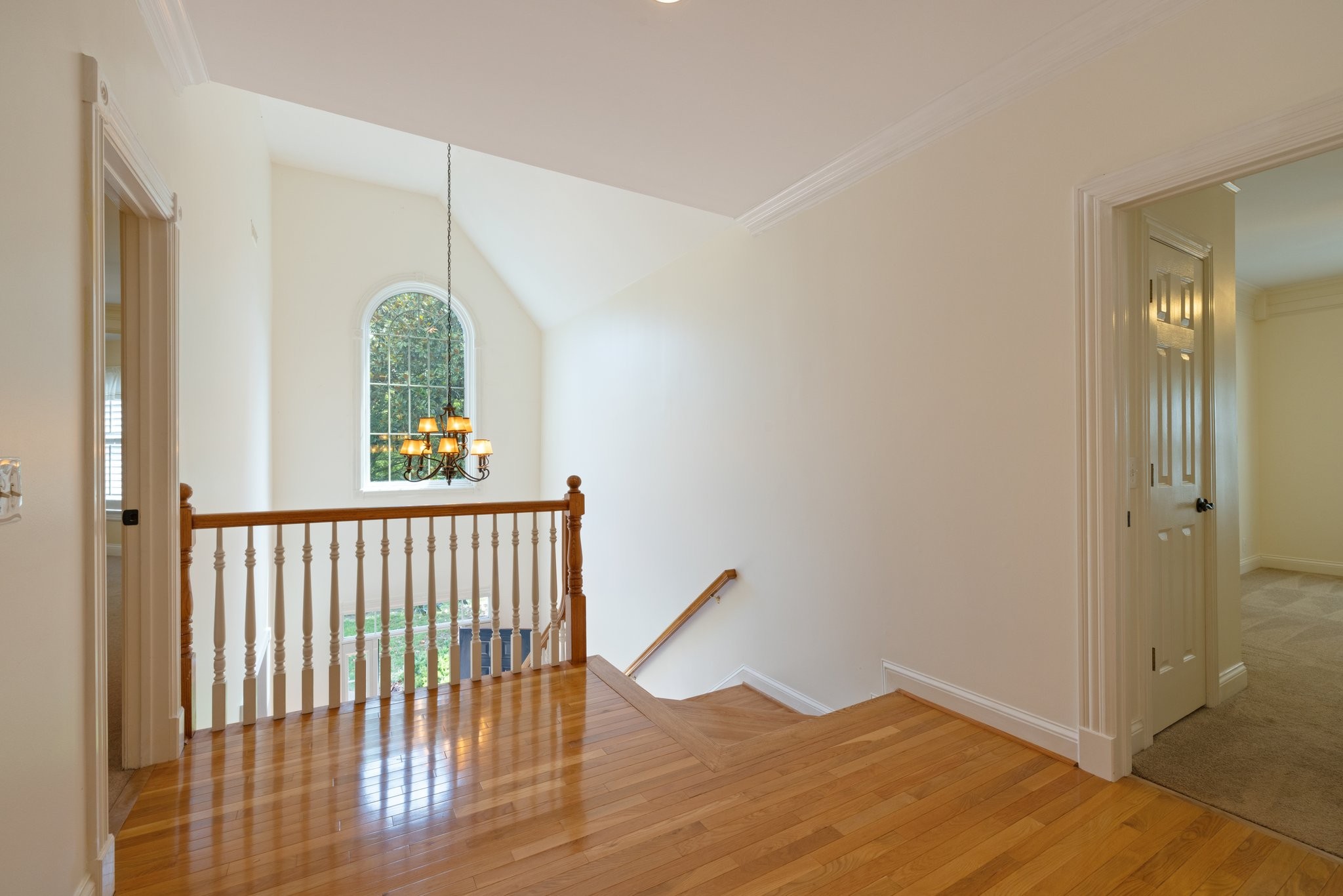 208 Lake Ridge Court Franklin, TN 37069 - Photo 50 of 70 Gallery Image 50