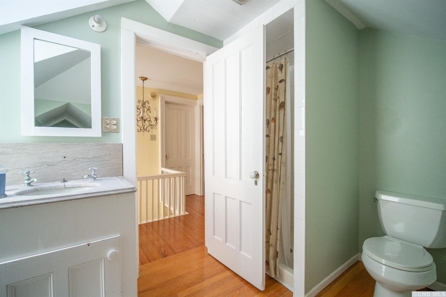 53 Methodist Hill Road Rensselaerville, NY 12147 - Photo 22 of 35 a bathroom with a sink a toilet a mirror and shower