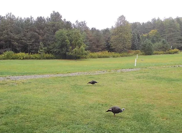 $112,900 | 179 White Hollow Road, Smethport, PA 16749