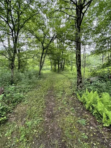 $112,900 | 179 White Hollow Road, Smethport, PA 16749