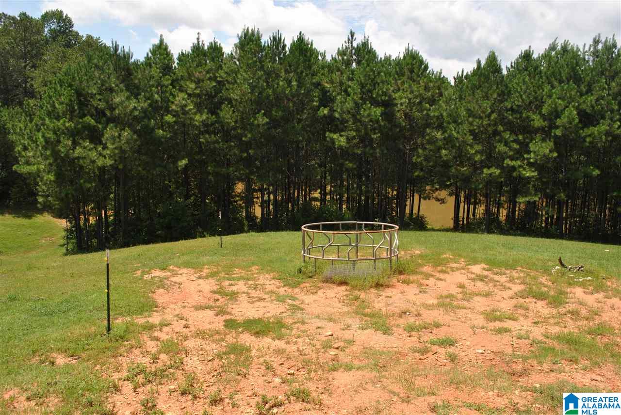 452 Turtleneck Road Alexander City, AL 35010 - Photo 24 of 29