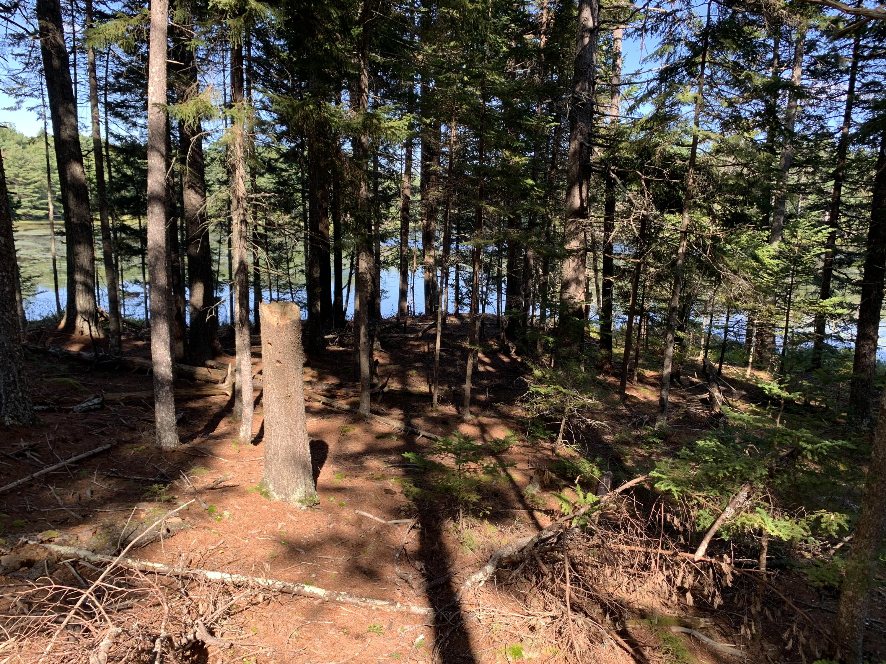 Lot B Lakeside Road Mount Desert, ME 04660 - Photo 20 of 32 IMG_6296