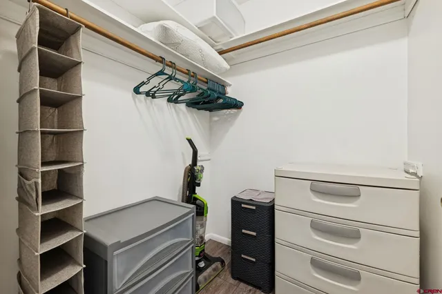 a view of a forest with trees