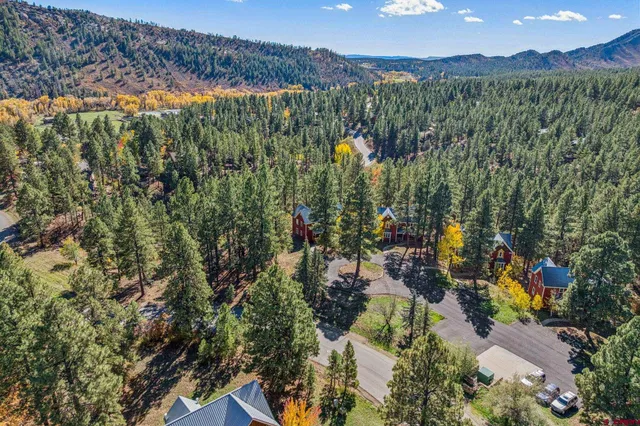 a view of a city with lush green forest