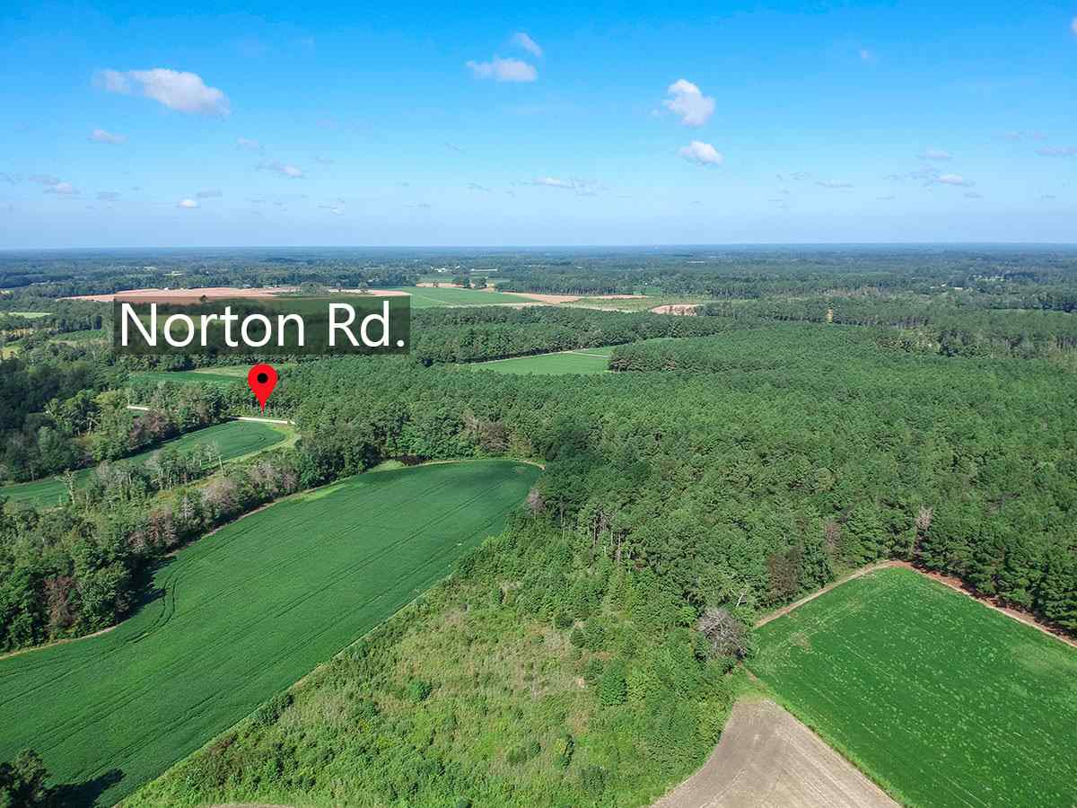 3333 Mt Olive Church Road Nichols, SC 29581 - Photo 14 of 29 Gallery Image 14