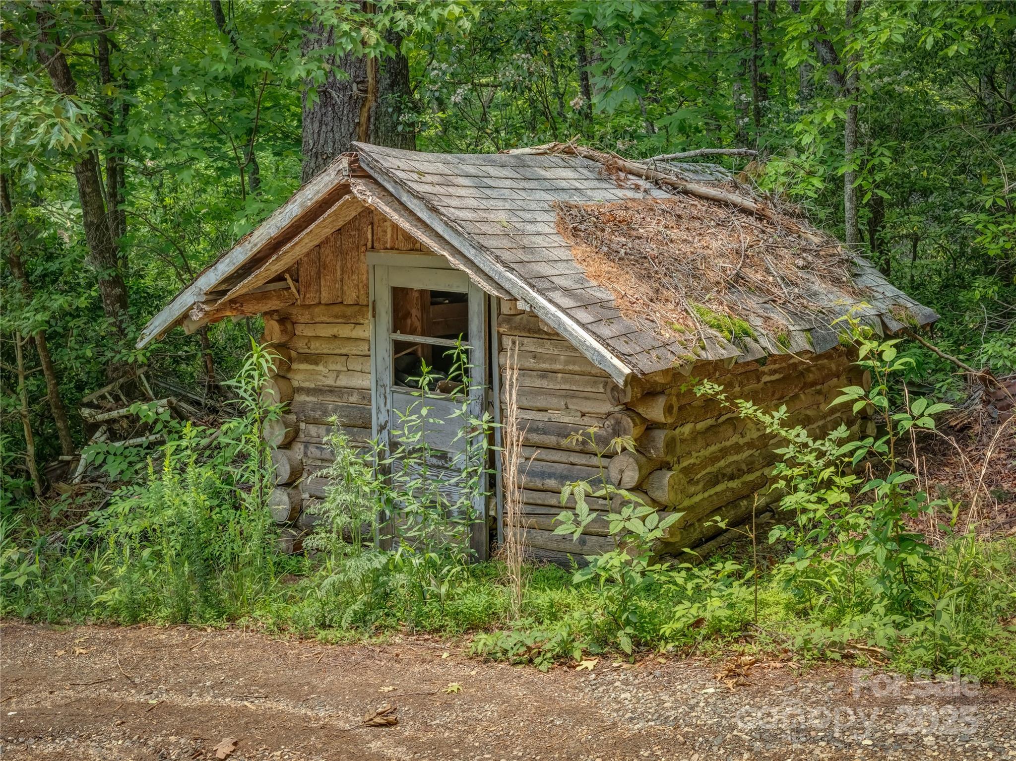 0 Israel Road Brevard, NC 28712 - Photo 5 of 17