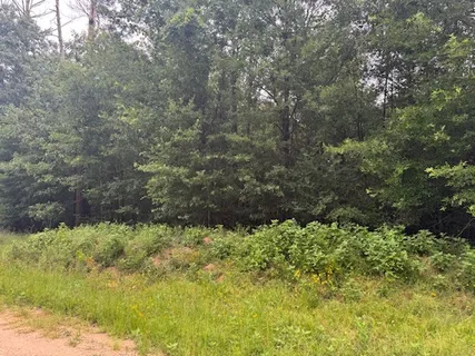 $12,500 | Tbd Deer Trail, Livingston, TX 77351