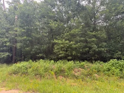 $12,500 | Tbd Deer Trail, Livingston, TX 77351