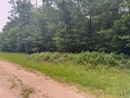 $12,500 | Tbd Deer Trail, Livingston, TX 77351