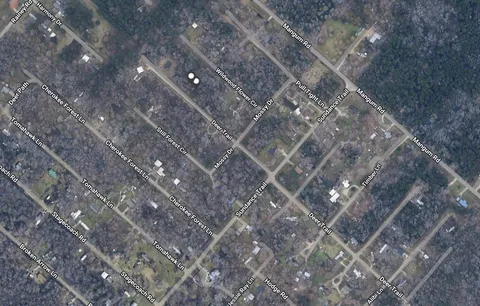 $12,500 | Tbd Deer Trail, Livingston, TX 77351