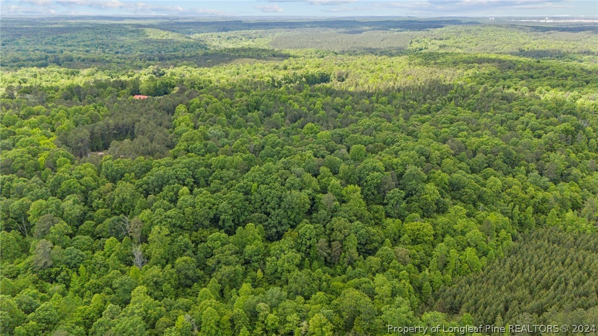 0 Farrell Road Sanford, NC 27330 - Photo 13 of 21 a view of a yard with an outdoor space