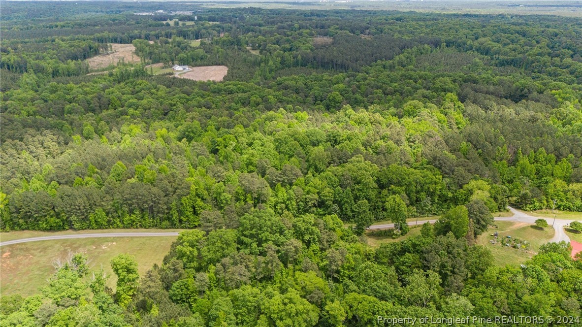 0 Farrell Road Sanford, NC 27330 - Photo 19 of 21 a view of a lake with a yard