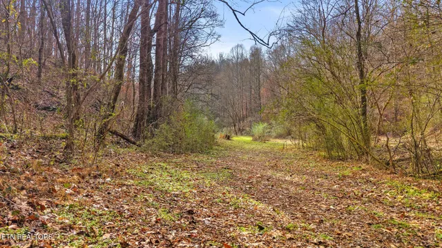 $949,900 | 158-168 County Road 484, Englewood, TN 37329