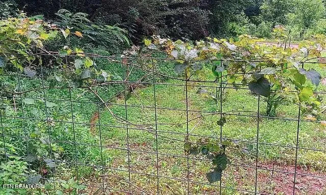 $949,900 | 158-168 County Road 484, Englewood, TN 37329