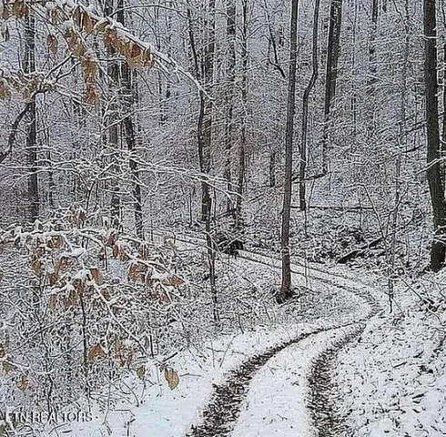 $949,900 | 158-168 County Road 484, Englewood, TN 37329