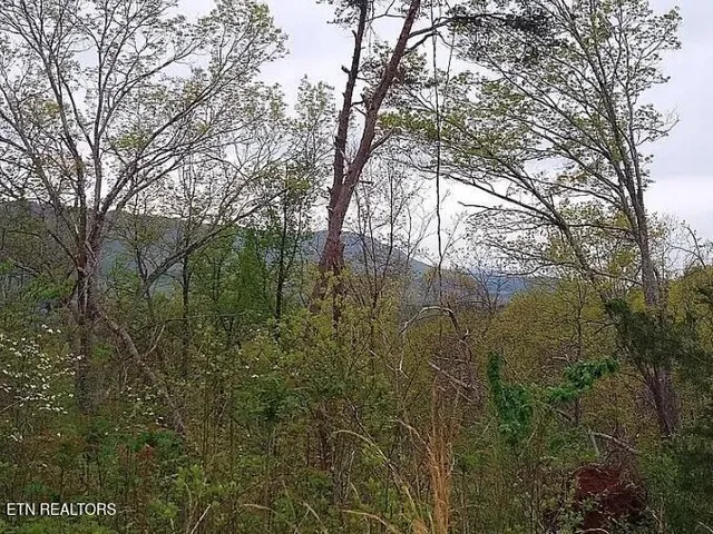 $949,900 | 158-168 County Road 484, Englewood, TN 37329