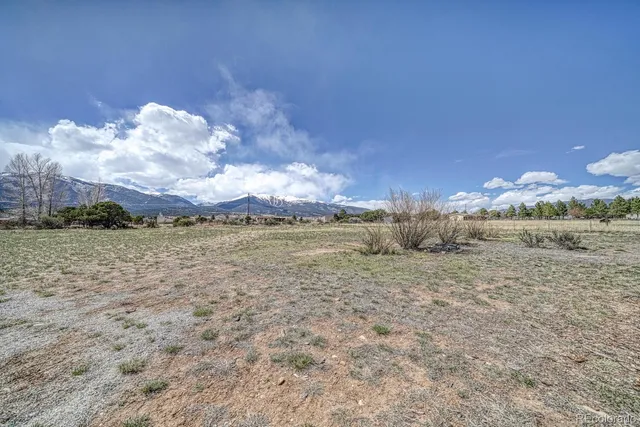 a view of a yard with a house in the background