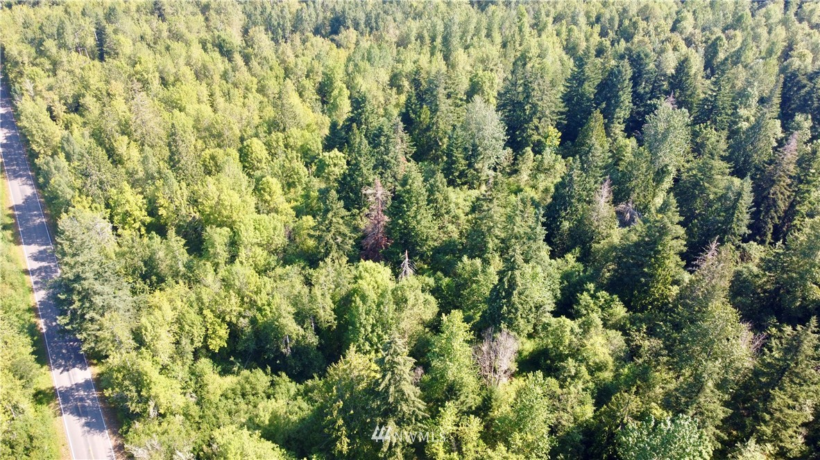 15130 Runyon Road Southeast Yelm, WA 98597 - Photo 3 of 5