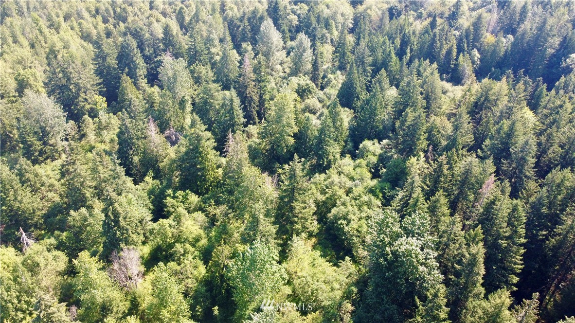 15130 Runyon Road Southeast Yelm, WA 98597 - Photo 4 of 5