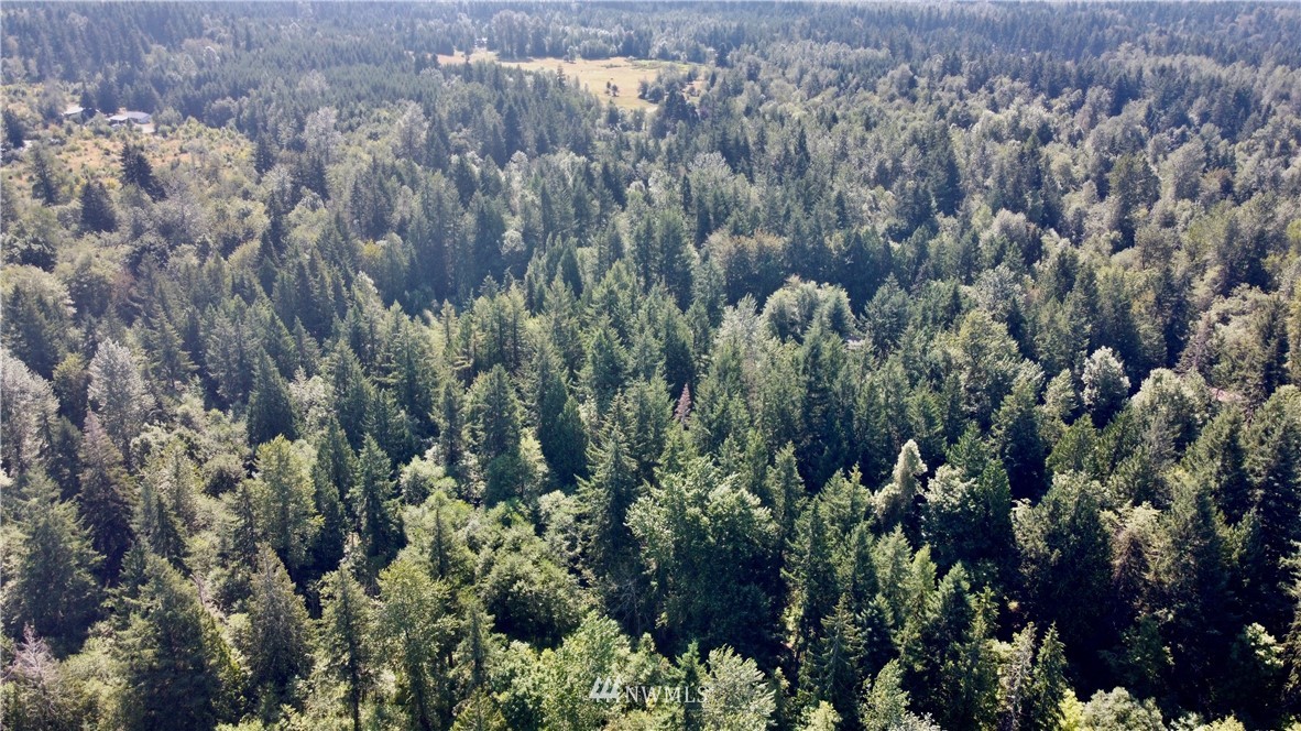 15130 Runyon Road Southeast Yelm, WA 98597 - Photo 5 of 5