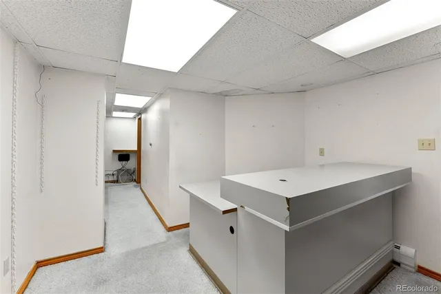 a view of a backyard with large trees