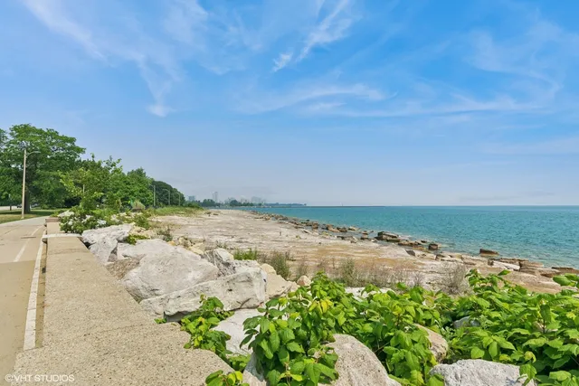 a view of a lake with beach and tall trees