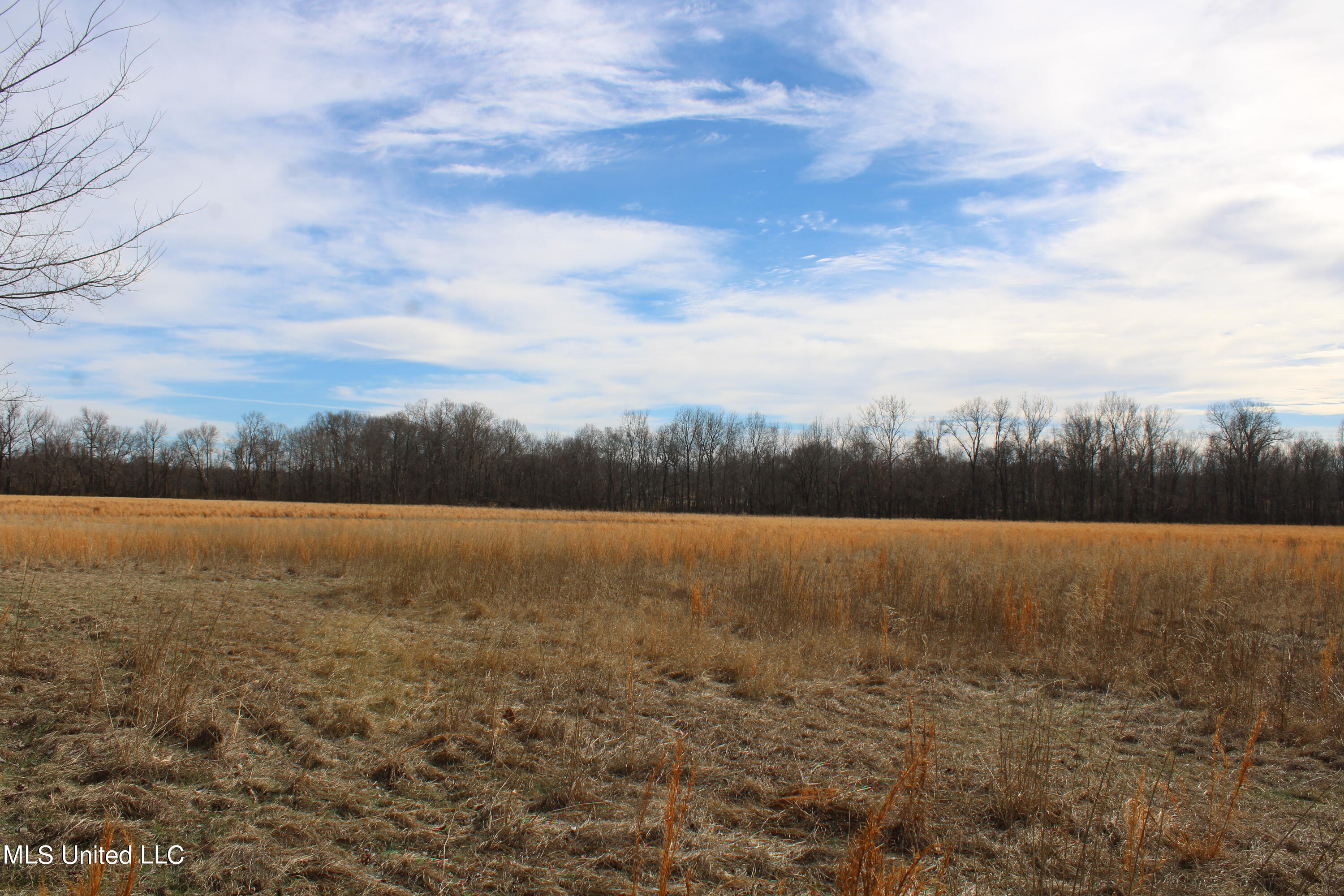 2167 Hogan Road Holly Springs, MS 38635 - Photo 11 of 22 IMG_3084