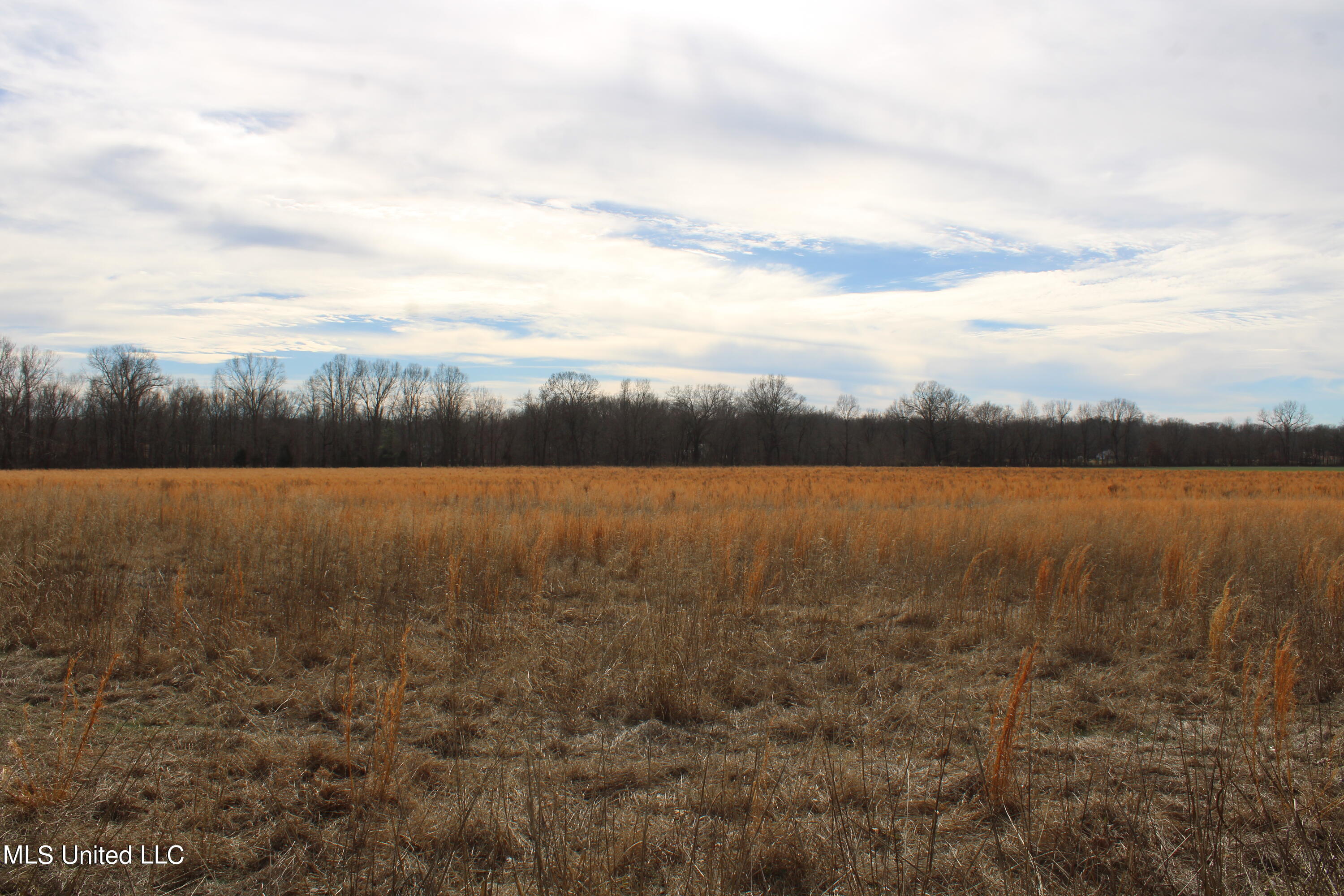 2167 Hogan Road Holly Springs, MS 38635 - Photo 12 of 22 IMG_3085