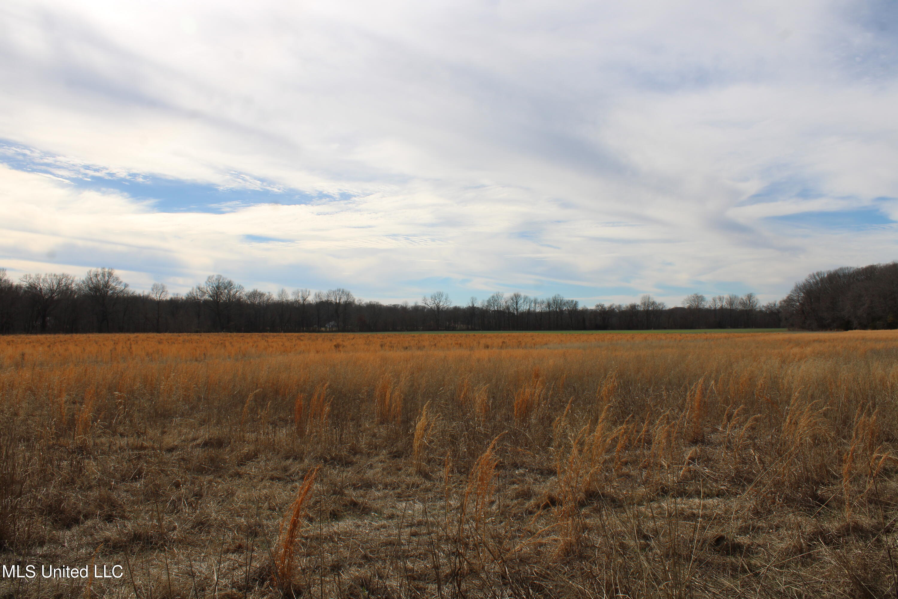 2167 Hogan Road Holly Springs, MS 38635 - Photo 13 of 22 IMG_3086