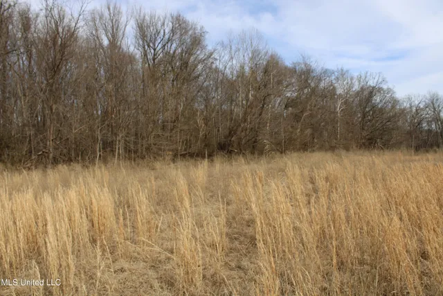 $85,000 | 2167 Hogan Road, Holly Springs, MS 38635