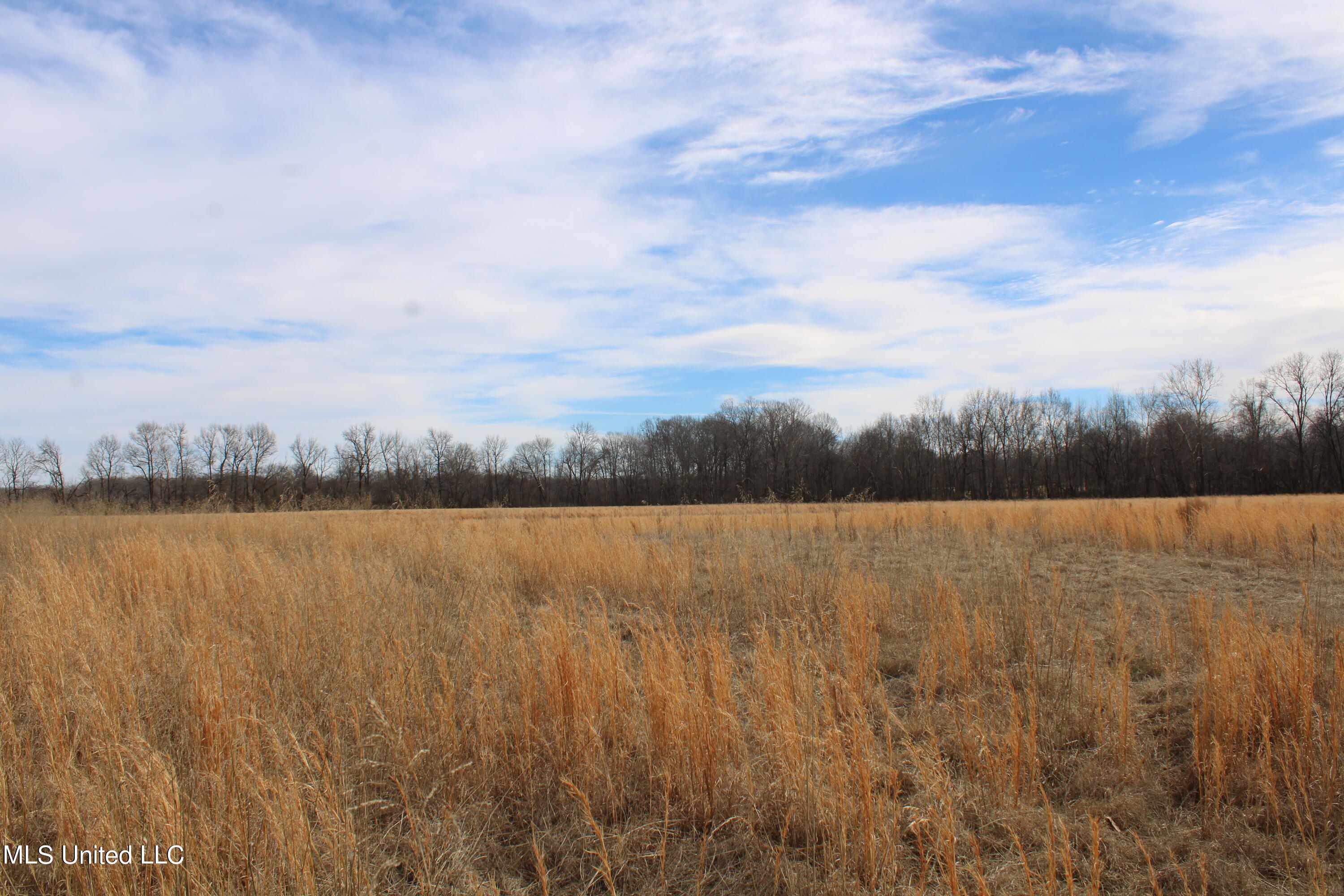 2167 Hogan Road Holly Springs, MS 38635 - Photo 15 of 22 IMG_3088
