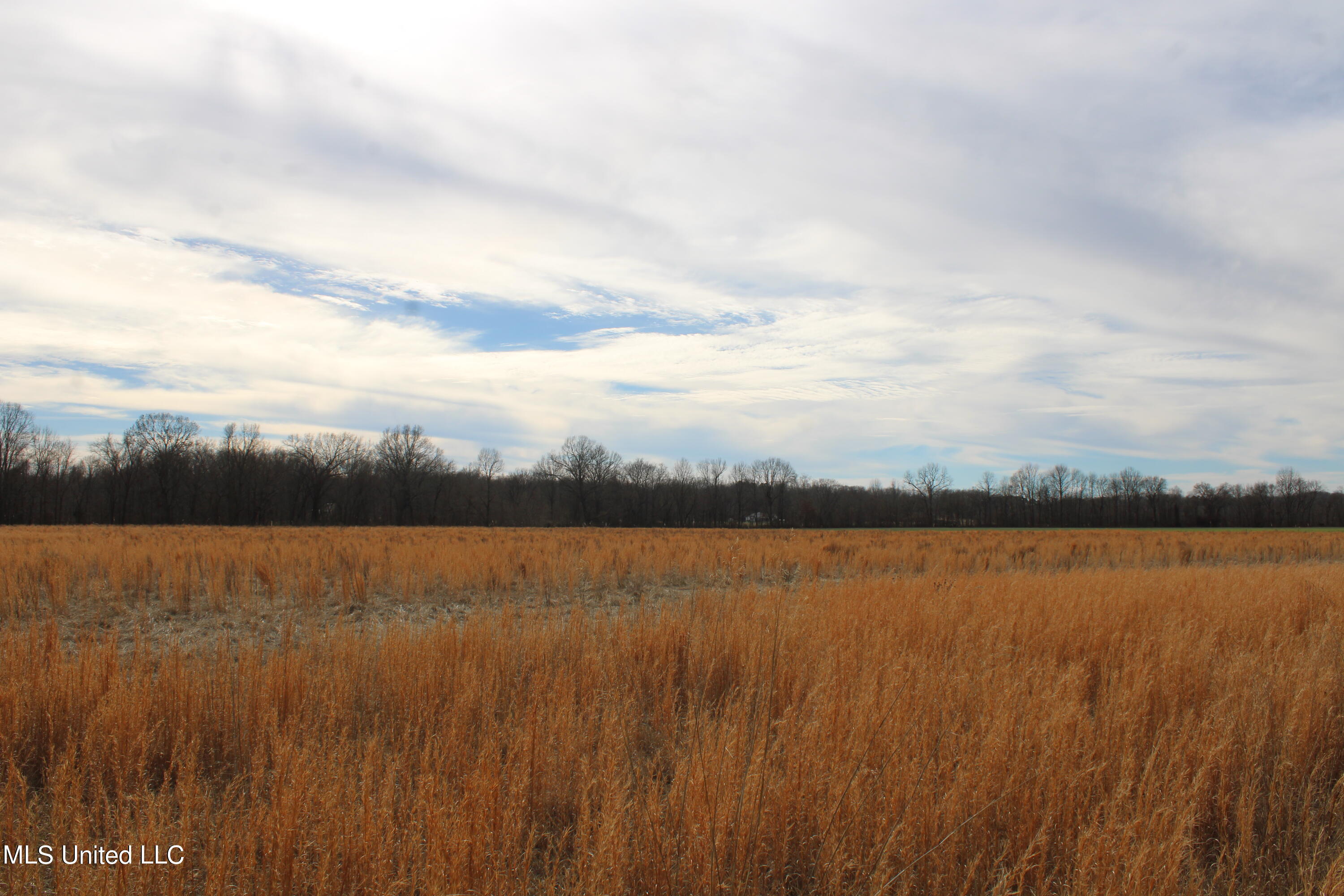 2167 Hogan Road Holly Springs, MS 38635 - Photo 16 of 22 IMG_3089