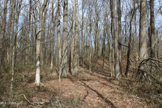 $85,000 | 2167 Hogan Road, Holly Springs, MS 38635