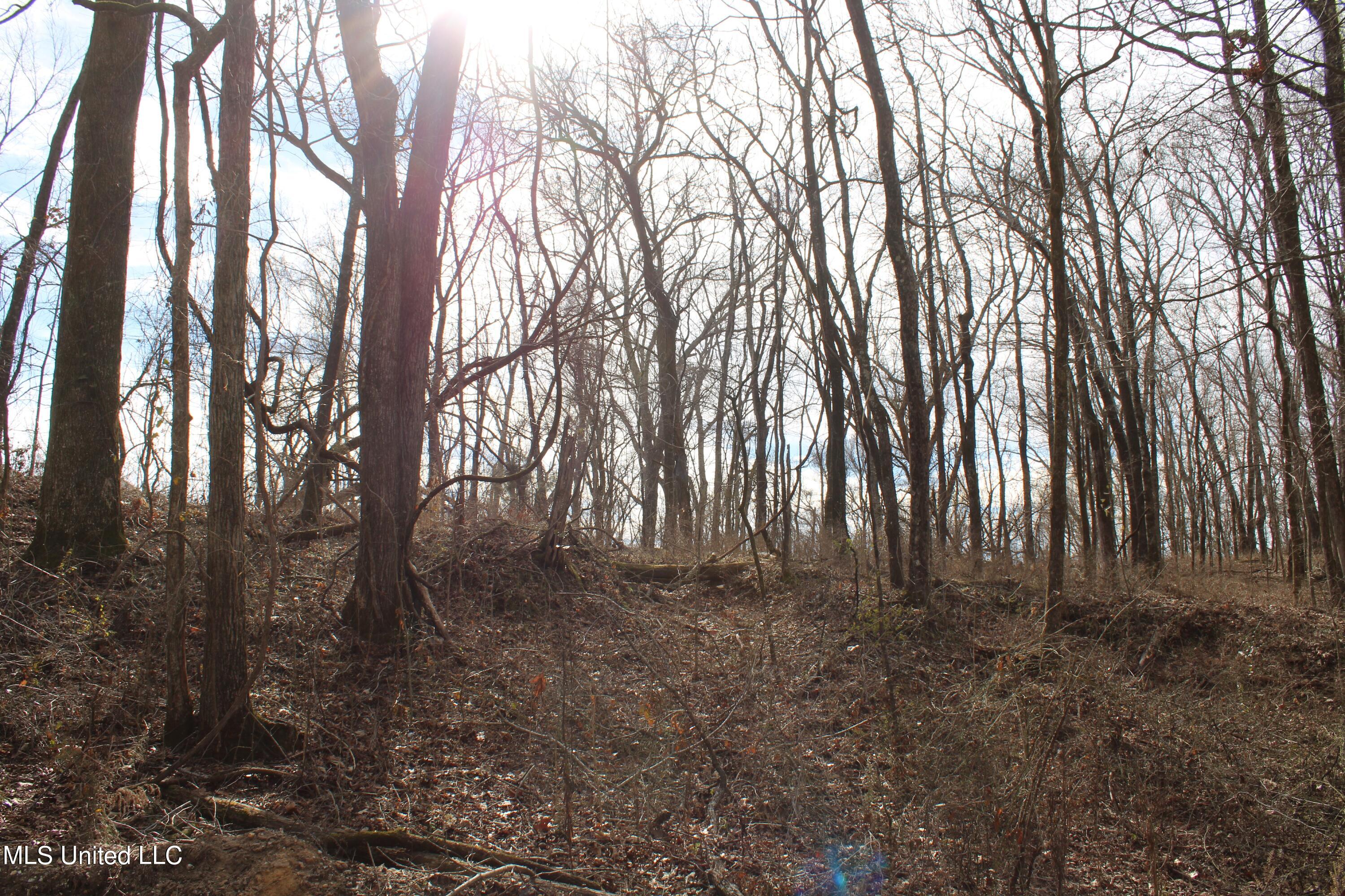 2167 Hogan Road Holly Springs, MS 38635 - Photo 19 of 22 IMG_3067