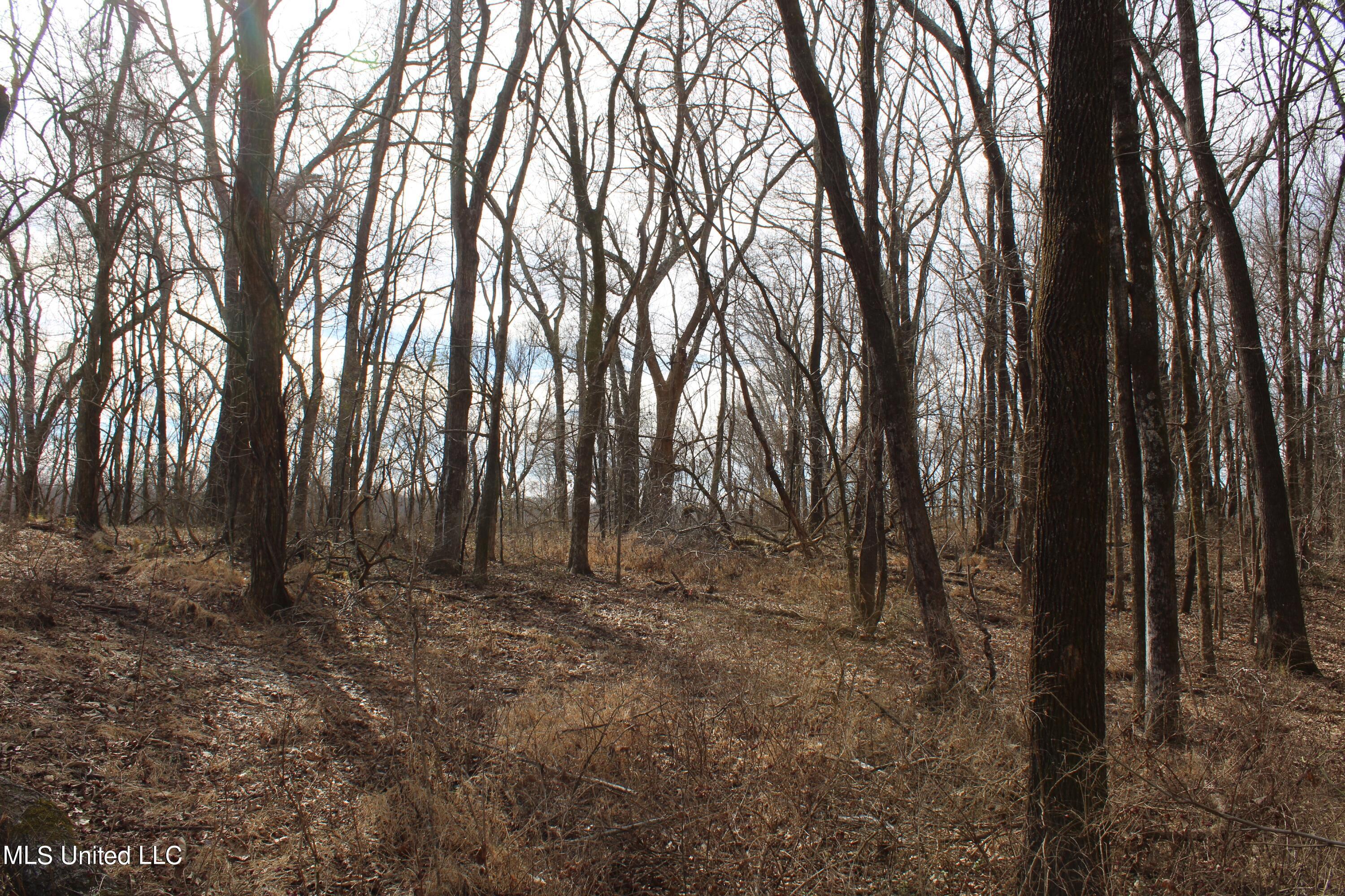 2167 Hogan Road Holly Springs, MS 38635 - Photo 20 of 22 IMG_3070