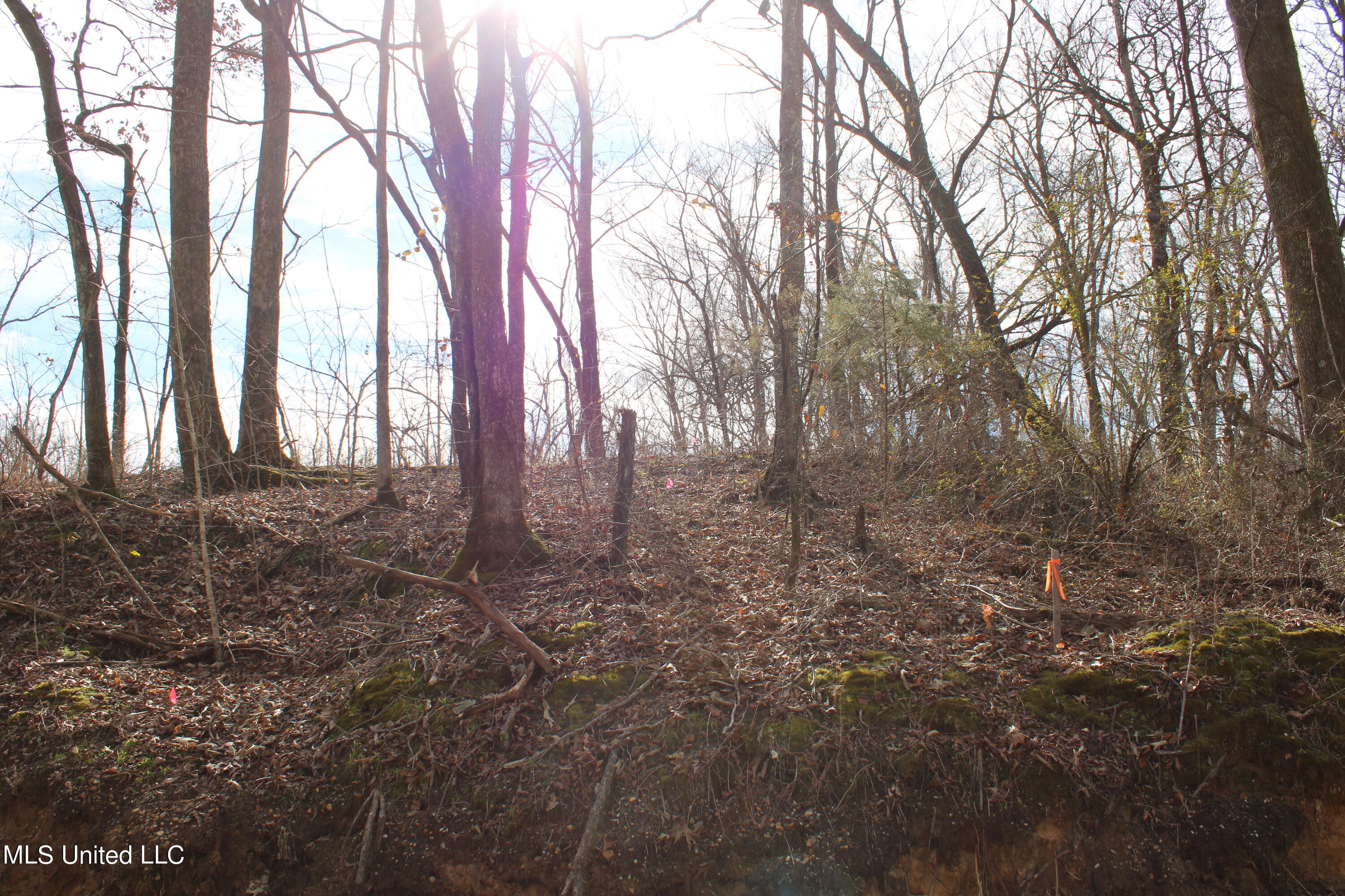 2167 Hogan Road Holly Springs, MS 38635 - Photo 2 of 22 IMG_3065