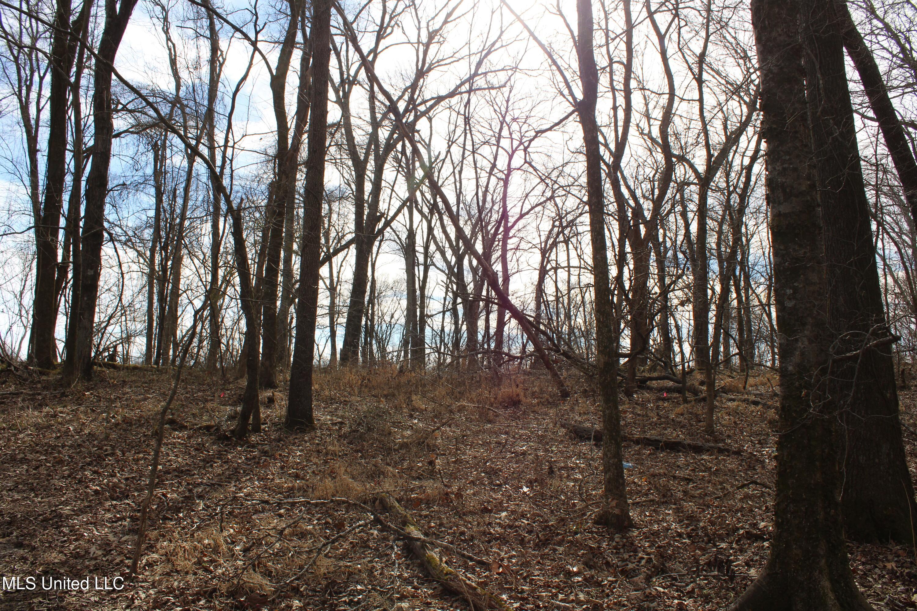 2167 Hogan Road Holly Springs, MS 38635 - Photo 21 of 22 IMG_3072