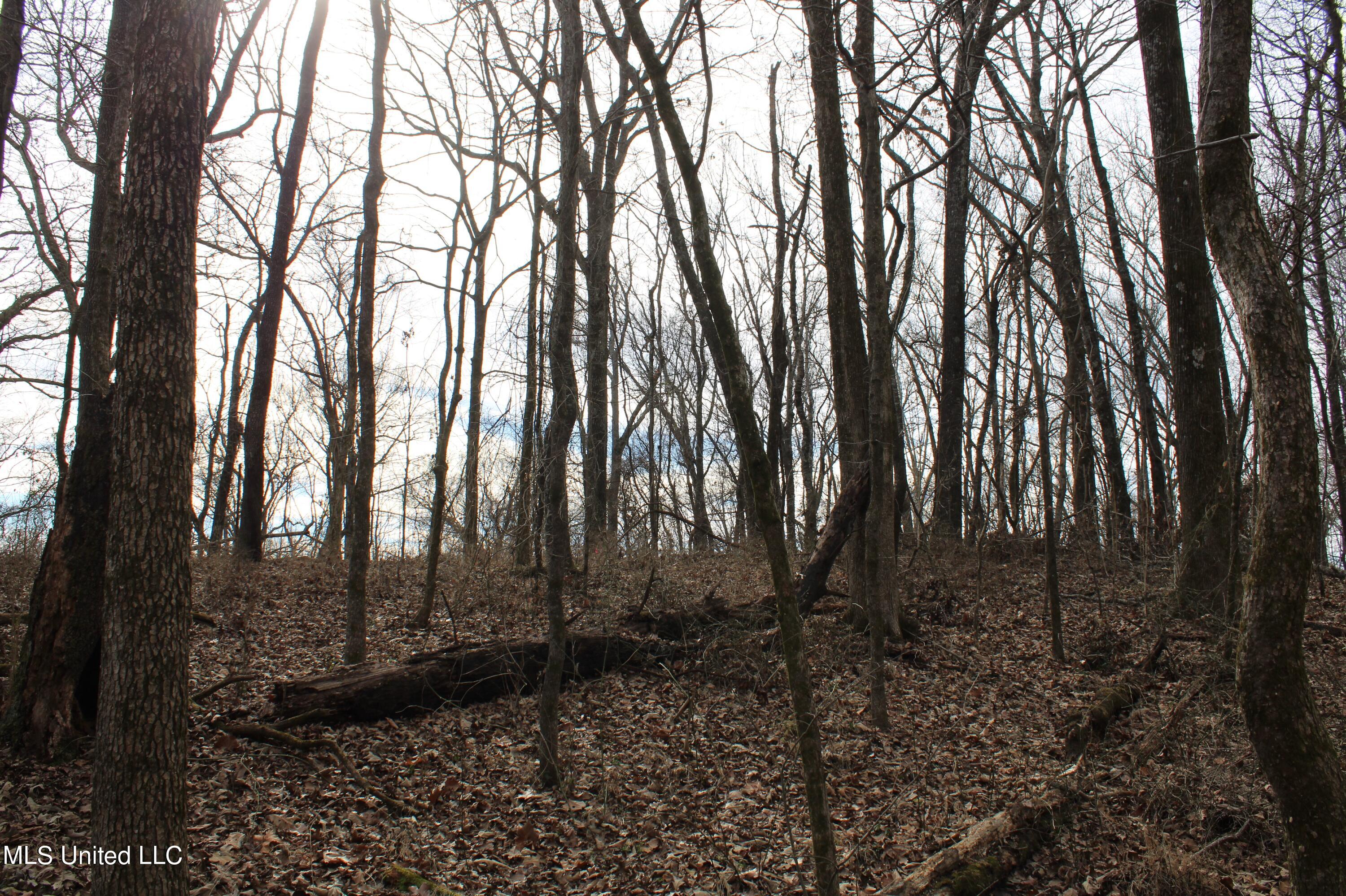 2167 Hogan Road Holly Springs, MS 38635 - Photo 22 of 22 IMG_3074