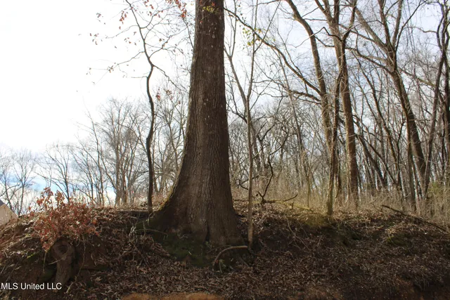 $85,000 | 2167 Hogan Road, Holly Springs, MS 38635