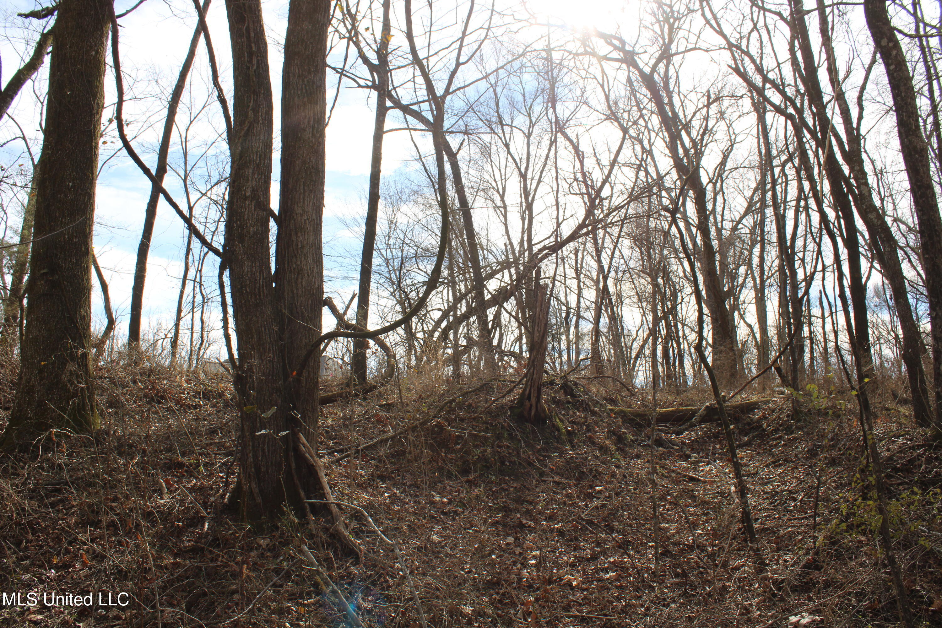 2167 Hogan Road Holly Springs, MS 38635 - Photo 4 of 22 IMG_3068