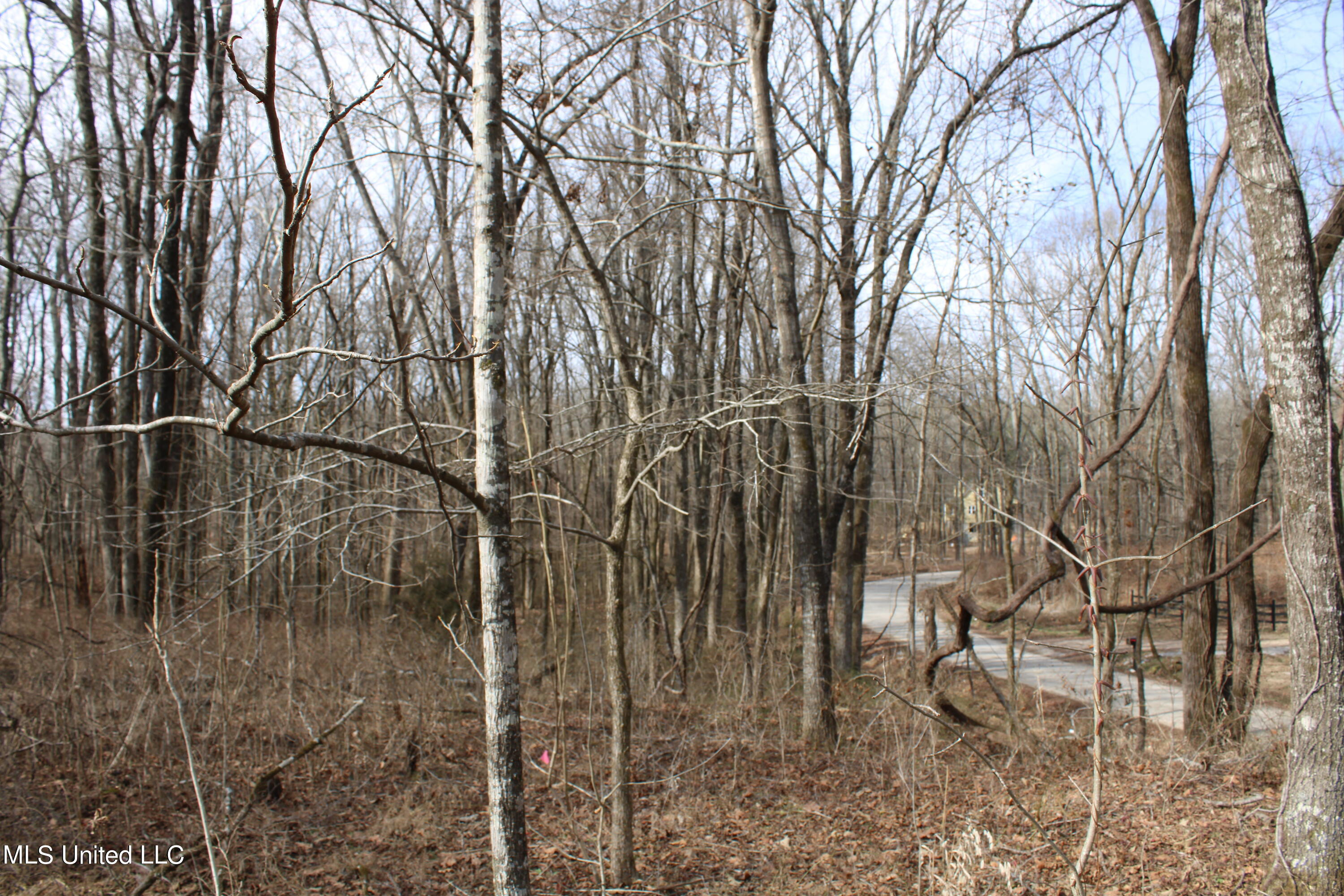 2167 Hogan Road Holly Springs, MS 38635 - Photo 5 of 22 IMG_3069