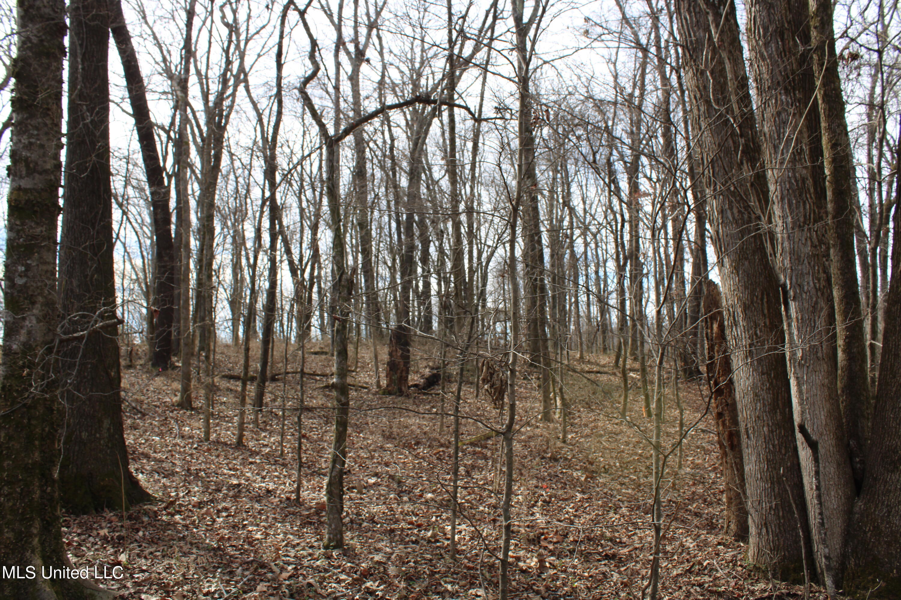 2167 Hogan Road Holly Springs, MS 38635 - Photo 6 of 22 IMG_3073