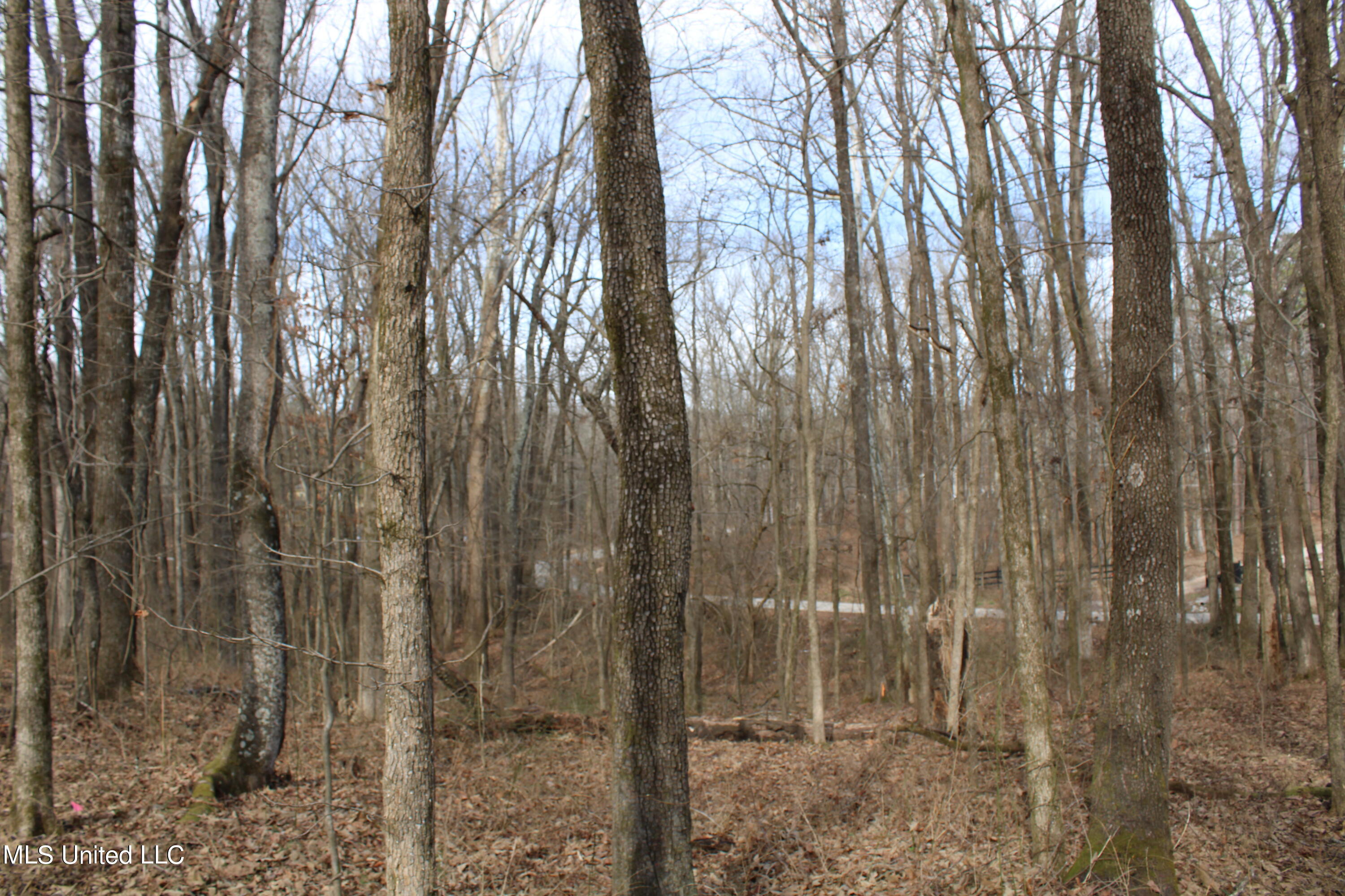 2167 Hogan Road Holly Springs, MS 38635 - Photo 7 of 22 IMG_3078