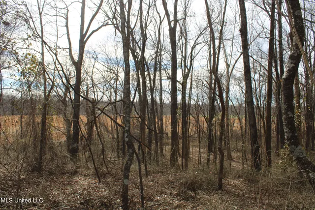 $85,000 | 2167 Hogan Road, Holly Springs, MS 38635