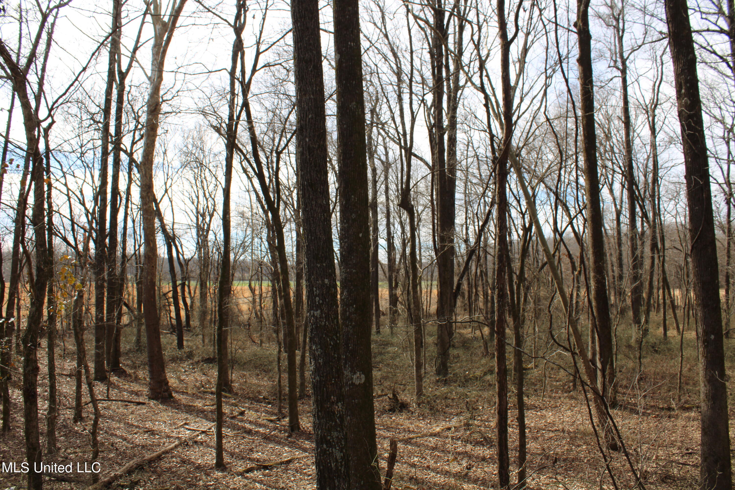 2167 Hogan Road Holly Springs, MS 38635 - Photo 9 of 22 IMG_3081