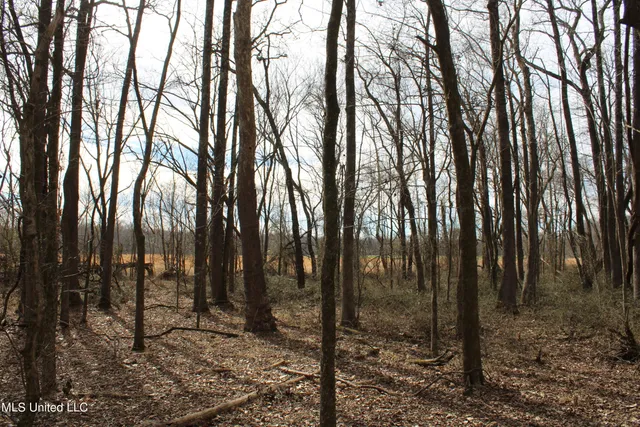 $85,000 | 2167 Hogan Road, Holly Springs, MS 38635